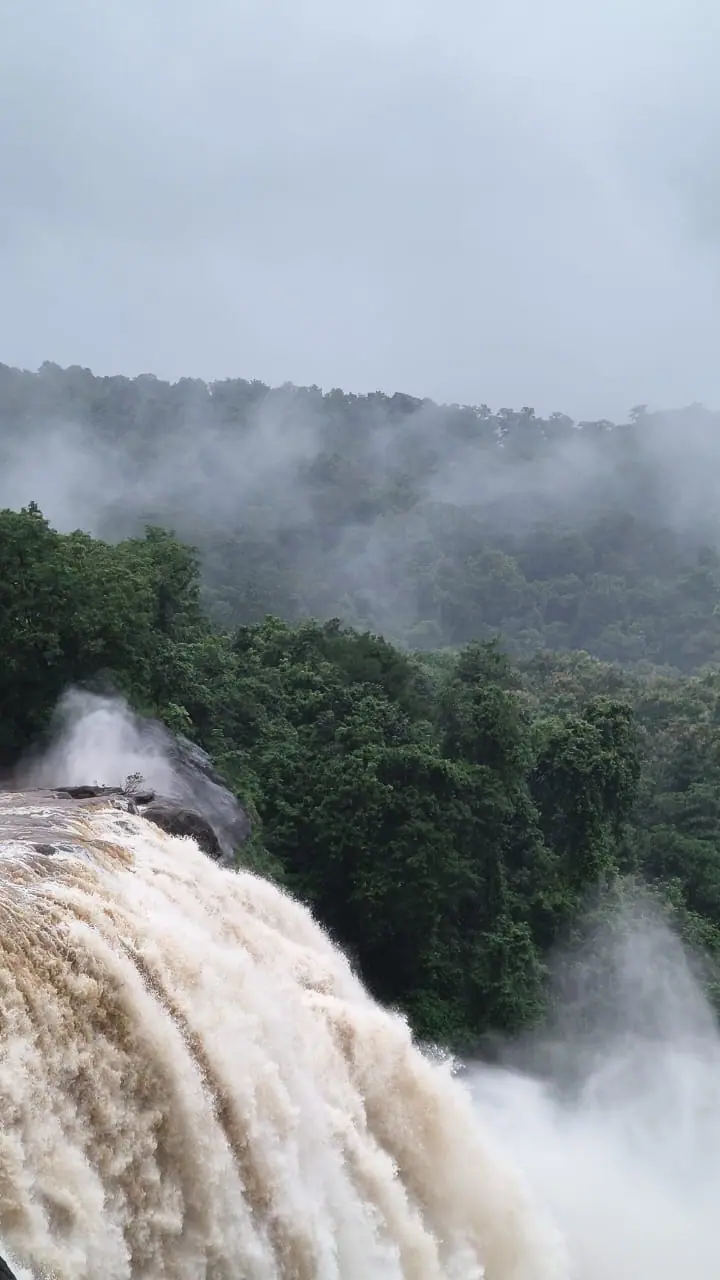 Athirappilly waterfalls in full monsoon flow, with mist drifting over the surrounding forest